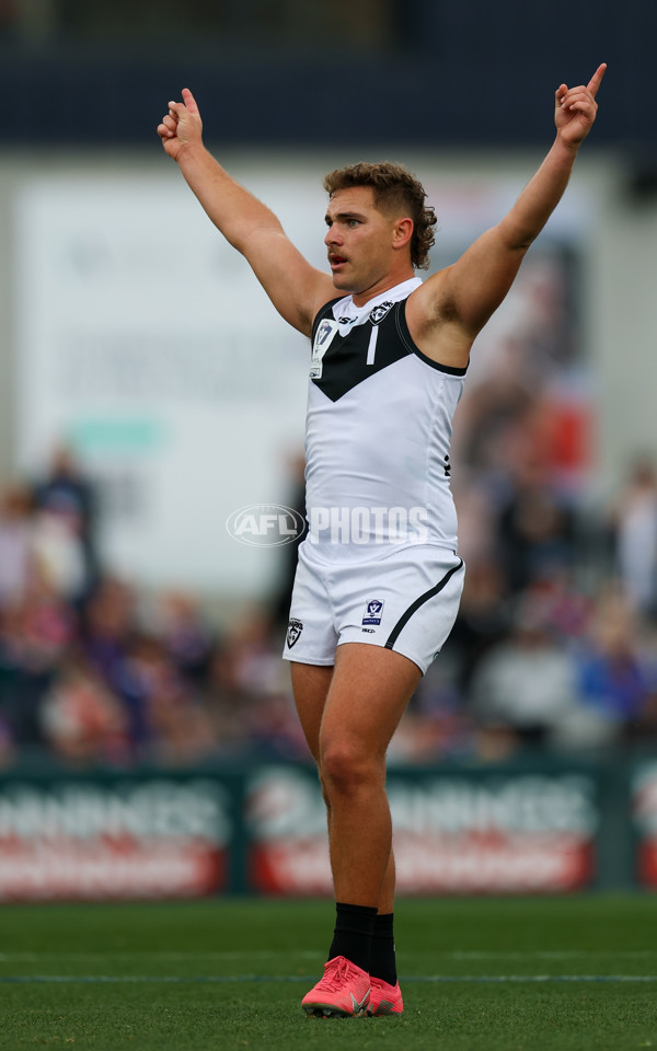 VFL 2025 Grand Final - Footscray Bulldogs v Southport - A-62971219