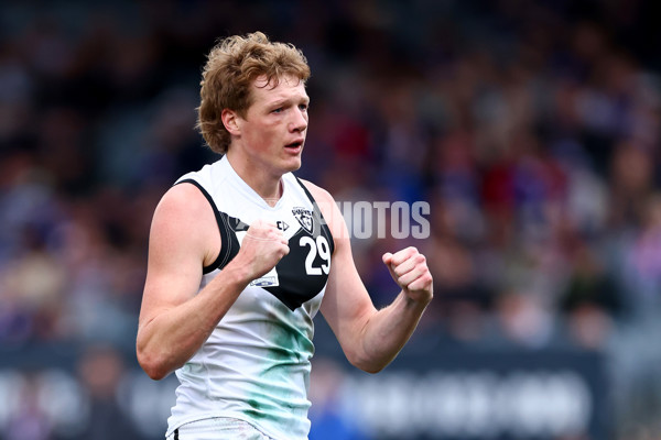 VFL 2025 Grand Final - Footscray Bulldogs v Southport - A-62971222