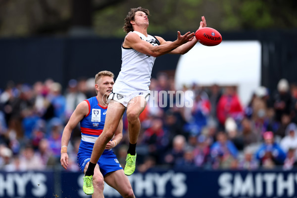 VFL 2025 Grand Final - Footscray Bulldogs v Southport - A-62971233