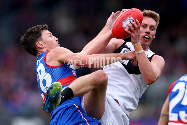 VFL 2025 Grand Final - Footscray Bulldogs v Southport - A-62972096