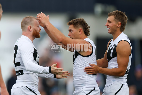 VFL 2025 Grand Final - Footscray Bulldogs v Southport - A-62972101