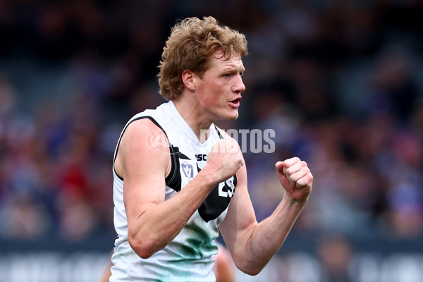 VFL 2025 Grand Final - Footscray Bulldogs v Southport - A-62972108