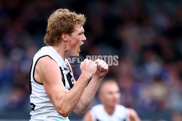 VFL 2025 Grand Final - Footscray Bulldogs v Southport - A-62972110