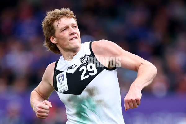 VFL 2025 Grand Final - Footscray Bulldogs v Southport - A-62972113