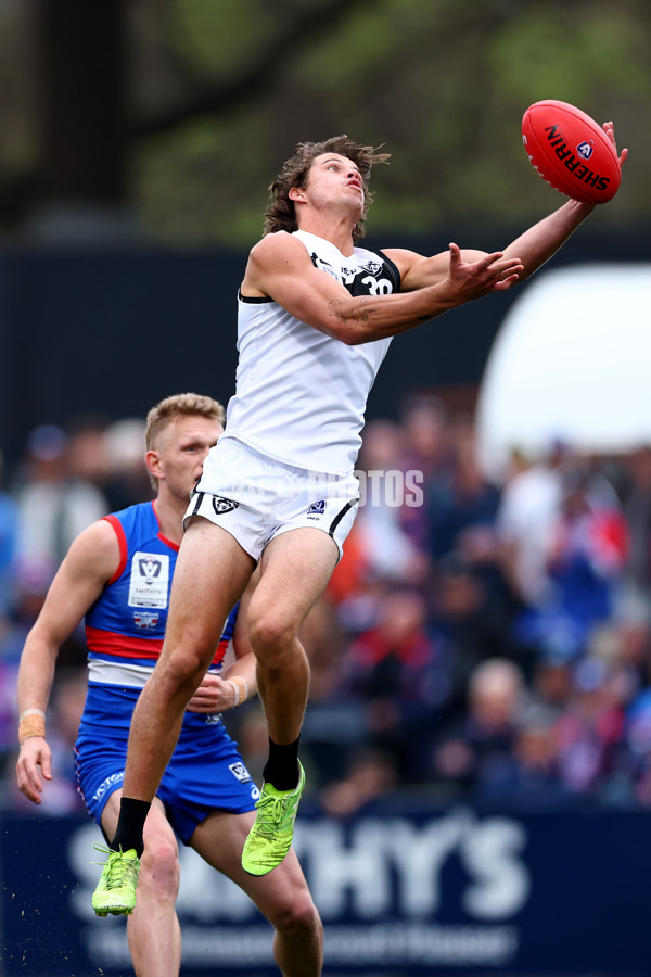 VFL 2025 Grand Final - Footscray Bulldogs v Southport - A-62972114