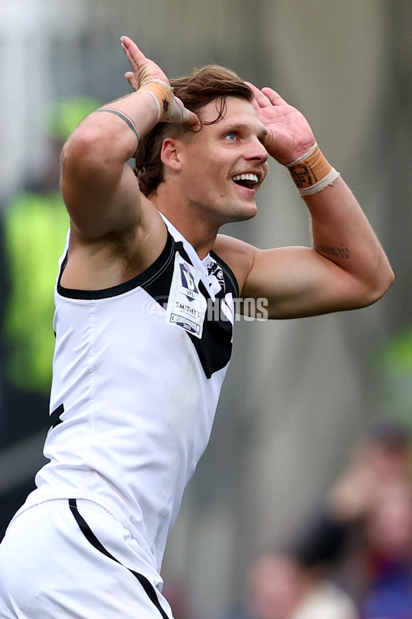 VFL 2025 Grand Final - Footscray Bulldogs v Southport - A-62972143