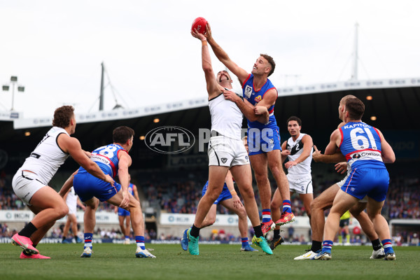 VFL 2025 Grand Final - Footscray Bulldogs v Southport - A-62972177