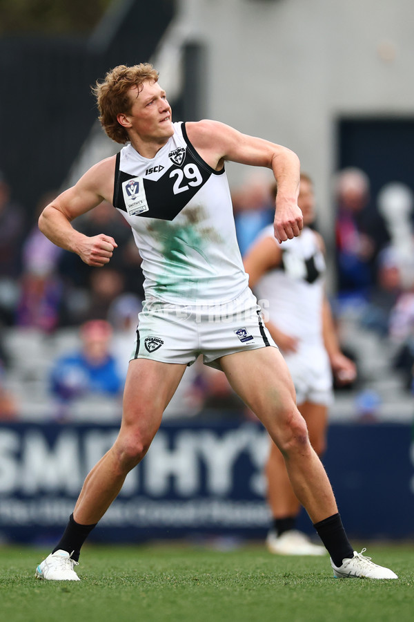 VFL 2025 Grand Final - Footscray Bulldogs v Southport - A-62973923