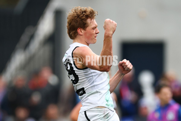 VFL 2025 Grand Final - Footscray Bulldogs v Southport - A-62973924