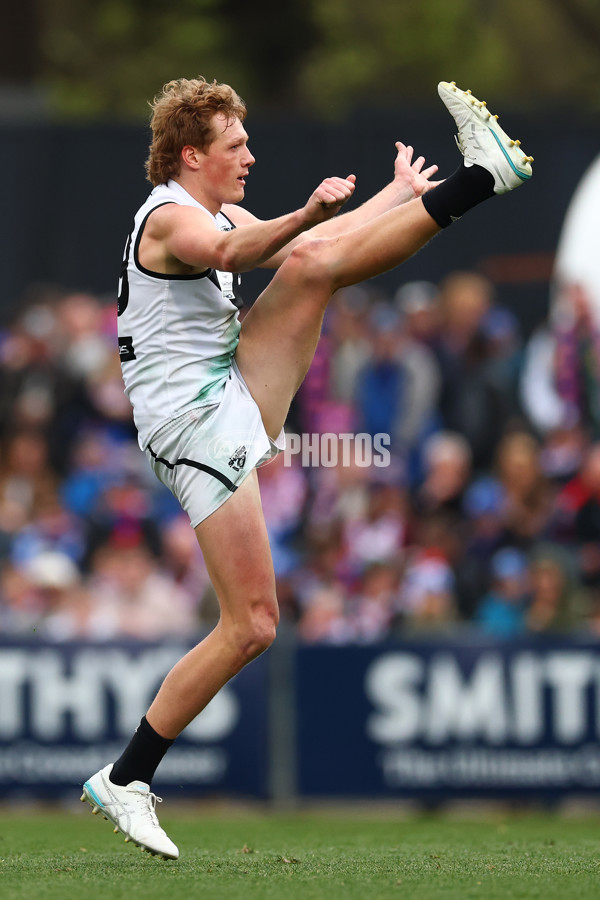 VFL 2025 Grand Final - Footscray Bulldogs v Southport - A-62973925
