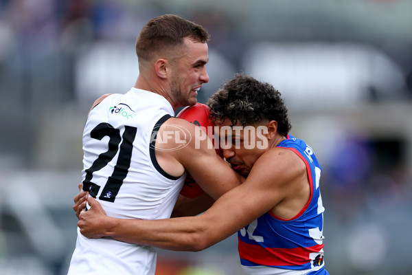 VFL 2025 Grand Final - Footscray Bulldogs v Southport - A-62973972