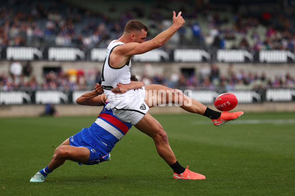 VFL 2025 Grand Final - Footscray Bulldogs v Southport - A-62973974