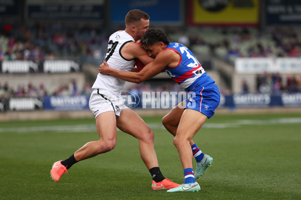 VFL 2025 Grand Final - Footscray Bulldogs v Southport - A-62975043