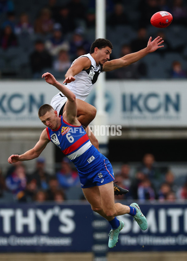 VFL 2025 Grand Final - Footscray Bulldogs v Southport - A-62975103