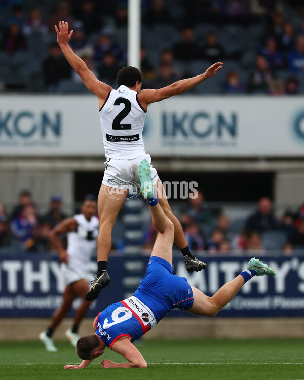 VFL 2025 Grand Final - Footscray Bulldogs v Southport - A-62975104