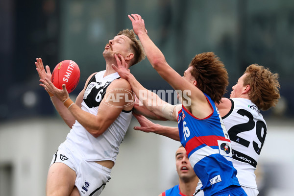 VFL 2025 Grand Final - Footscray Bulldogs v Southport - A-62976659