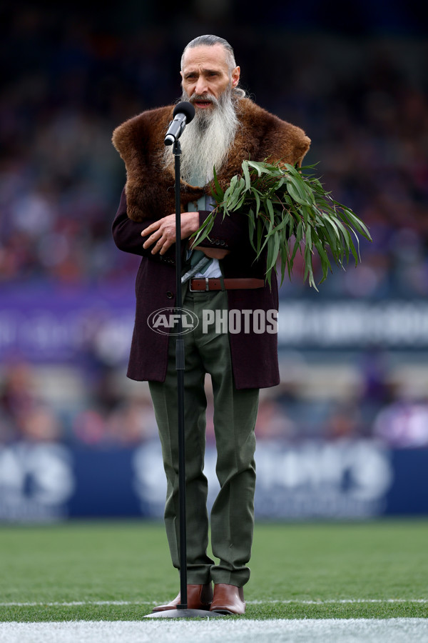 VFL 2025 Grand Final - Footscray Bulldogs v Southport - A-62976677