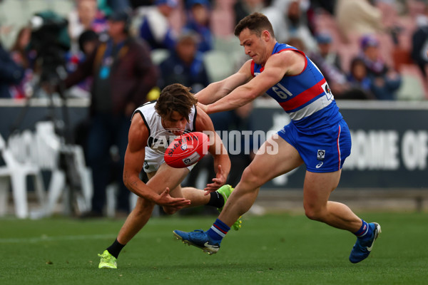VFL 2025 Grand Final - Footscray Bulldogs v Southport - A-62977720