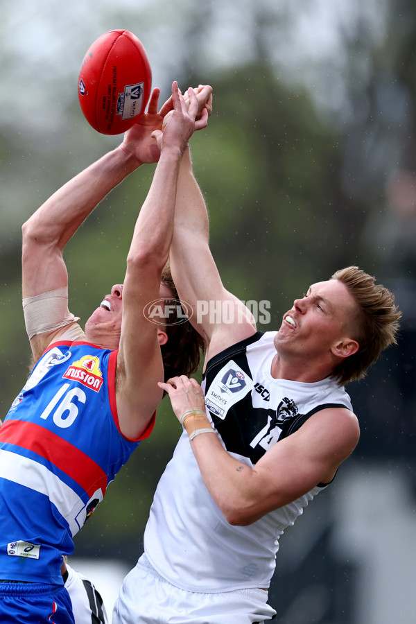 VFL 2025 Grand Final - Footscray Bulldogs v Southport - A-62977740
