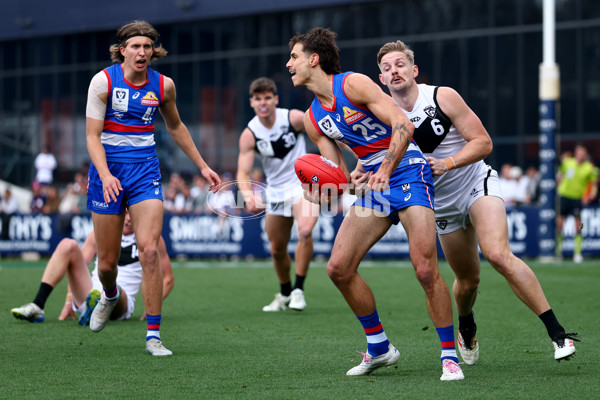 VFL 2025 Grand Final - Footscray Bulldogs v Southport - A-62979058