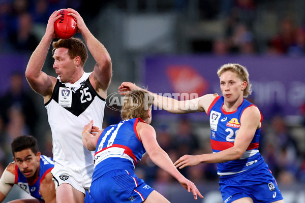 VFL 2025 Grand Final - Footscray Bulldogs v Southport - A-62979092