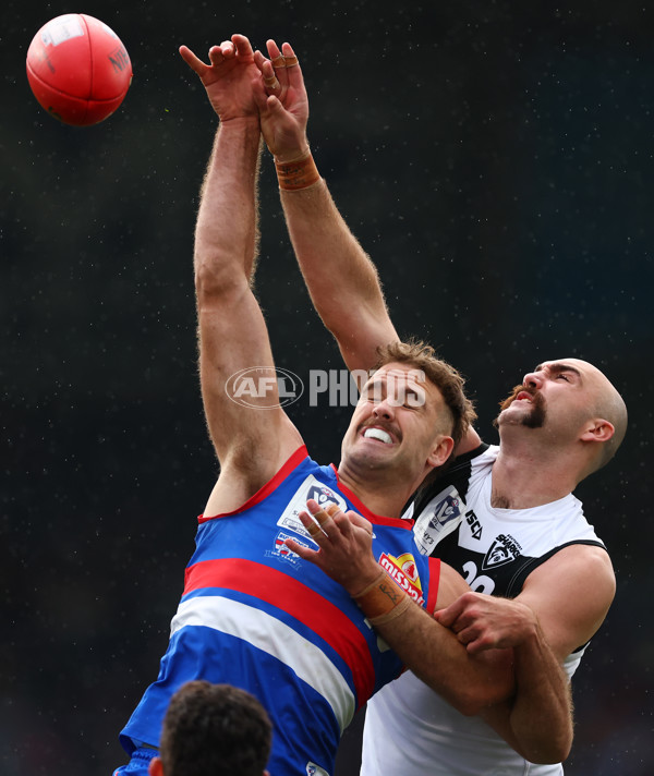 VFL 2025 Grand Final - Footscray Bulldogs v Southport - A-62979095