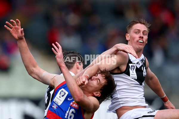 VFL 2025 Grand Final - Footscray Bulldogs v Southport - A-62980837