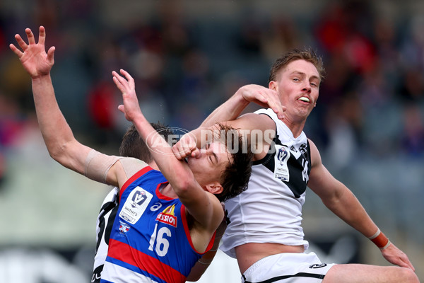 VFL 2025 Grand Final - Footscray Bulldogs v Southport - A-62980838