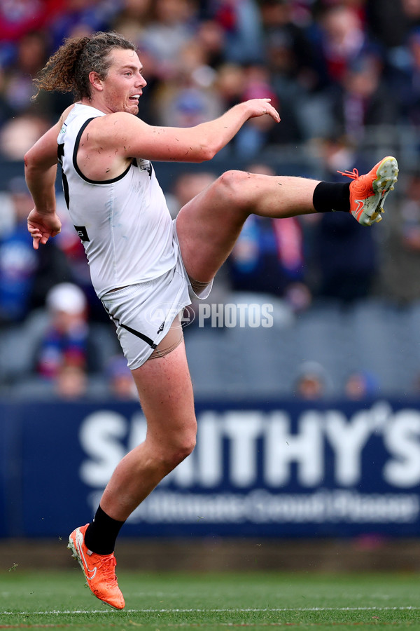 VFL 2025 Grand Final - Footscray Bulldogs v Southport - A-62980840