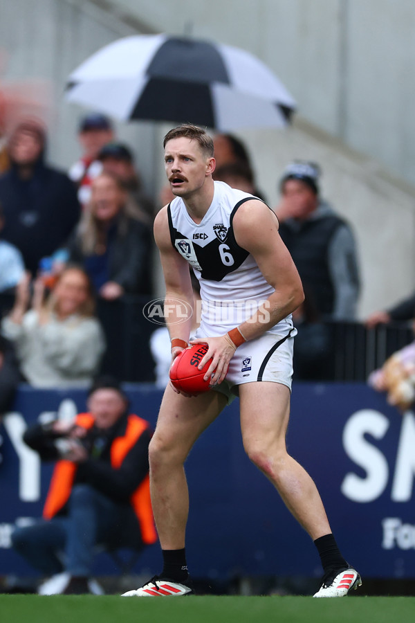 VFL 2025 Grand Final - Footscray Bulldogs v Southport - A-62980845