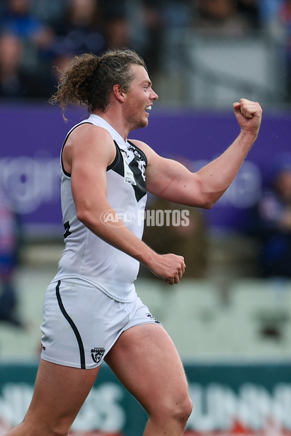 VFL 2025 Grand Final - Footscray Bulldogs v Southport - A-62981809