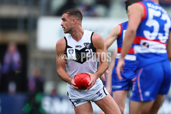 VFL 2025 Grand Final - Footscray Bulldogs v Southport - A-62981817