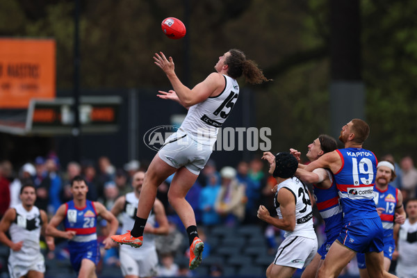 VFL 2025 Grand Final - Footscray Bulldogs v Southport - A-62981826