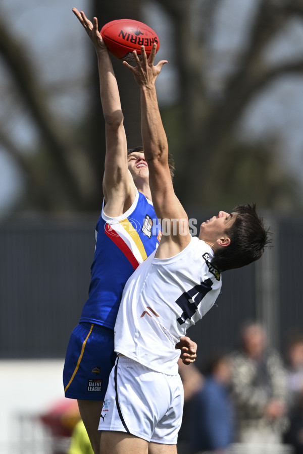 Coates League Boys 2025 Grand Final - Eastern Ranges v Sandringham Dragons - A-62994045