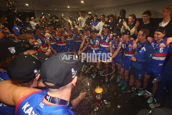 VFL 2025 Grand Final - Footscray Bulldogs v Southport - A-62995008