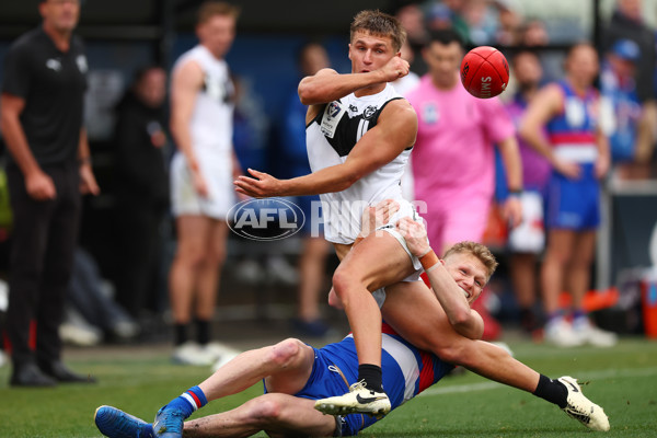 VFL 2025 Grand Final - Footscray Bulldogs v Southport - A-62995012