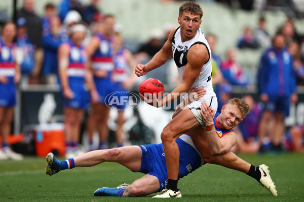 VFL 2025 Grand Final - Footscray Bulldogs v Southport - A-62996849