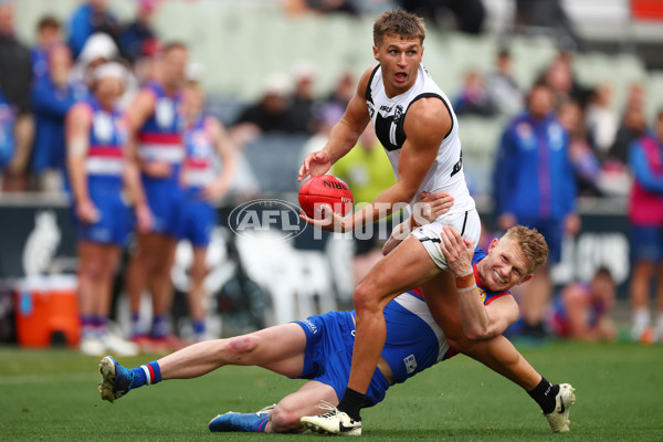 VFL 2025 Grand Final - Footscray Bulldogs v Southport - A-62996850