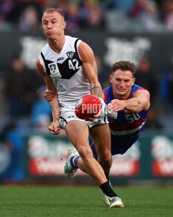 VFL 2025 Grand Final - Footscray Bulldogs v Southport - A-62996857