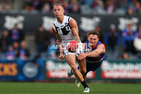 VFL 2025 Grand Final - Footscray Bulldogs v Southport - A-62996859