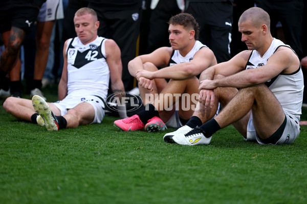 VFL 2025 Grand Final - Footscray Bulldogs v Southport - A-62996885
