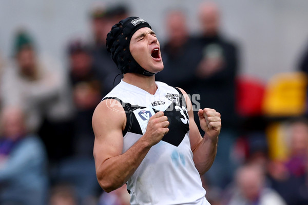 VFL 2025 Grand Final - Footscray Bulldogs v Southport - A-62996897