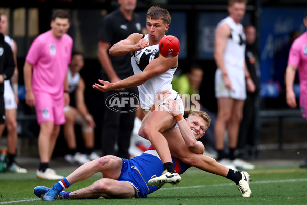 VFL 2025 Grand Final - Footscray Bulldogs v Southport - A-62996900