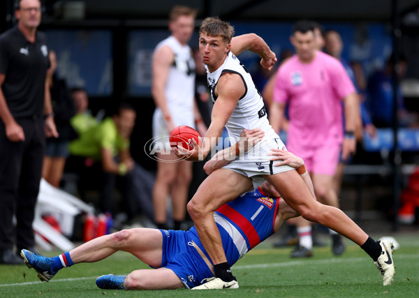 VFL 2025 Grand Final - Footscray Bulldogs v Southport - A-62996901