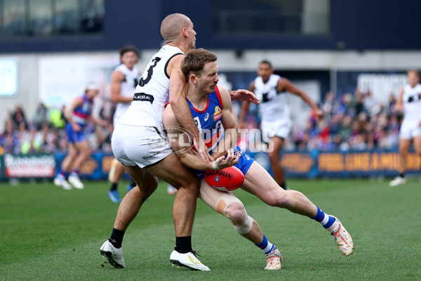 VFL 2025 Grand Final - Footscray Bulldogs v Southport - A-62996929