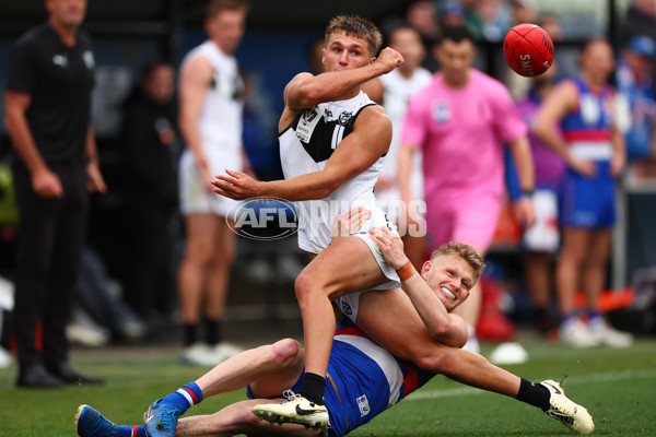 VFL 2025 Grand Final - Footscray Bulldogs v Southport - A-62997437