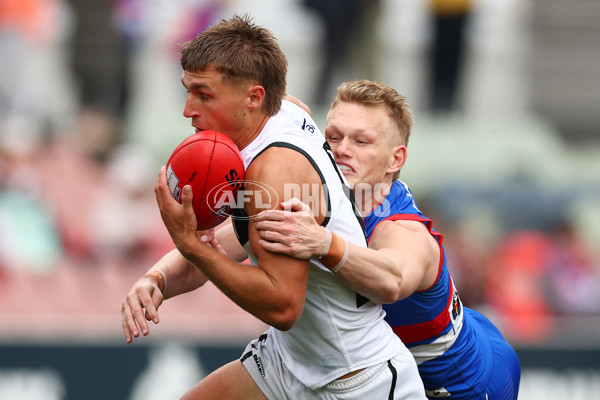 VFL 2025 Grand Final - Footscray Bulldogs v Southport - A-62997438