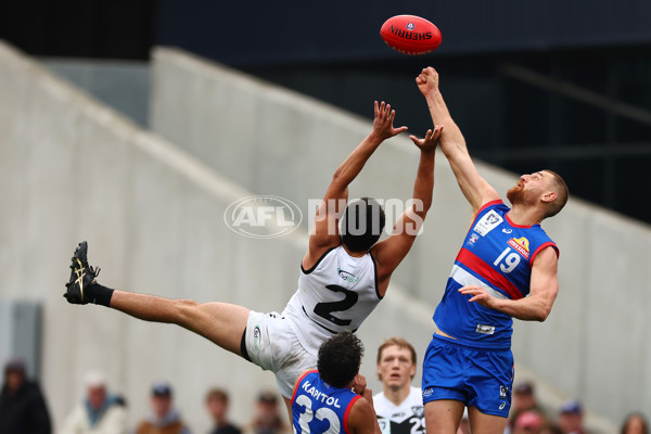 VFL 2025 Grand Final - Footscray Bulldogs v Southport - A-62997441