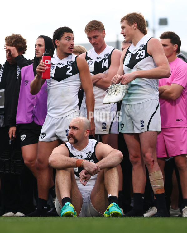 VFL 2025 Grand Final - Footscray Bulldogs v Southport - A-62997459