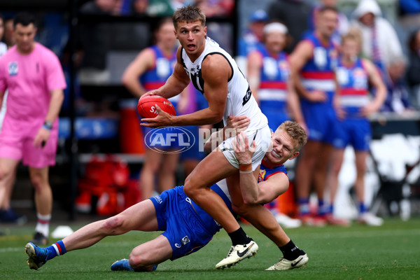 VFL 2025 Grand Final - Footscray Bulldogs v Southport - A-62997482